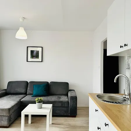 Apartment Suchanino